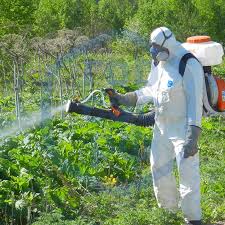 Центр дезинфекции Новосибирск - Профессиональная дезинфекция для вашего здоровья